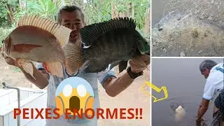 REGISTREI A HORA EXATA QUE OS PEIXES IAM SAINDO!!
