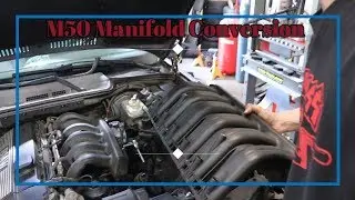 BimmerWorld M50 Manifold Swap [E36 Project Ep 9]