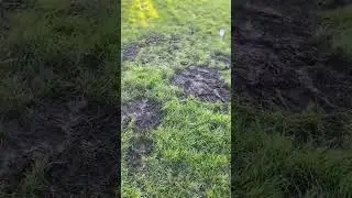Until the ground hits failure