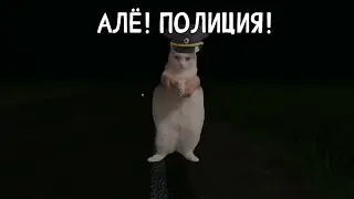 ПЫЛЬНАЯ ПУСТЫНЯ - СЕЗОН 1