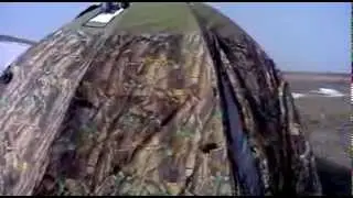 Баня весной