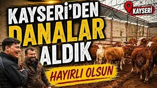 GENÇ ÜRETİCİ LİMUZİN ÜRETİCİSİ TARIK
