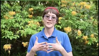Houseplant Questions, Answered