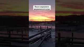 Морозное утро в деревне 