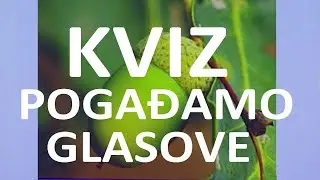 1. razred - hrvatski jezik: glasovi, kviz znanja