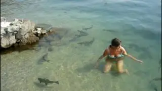 Acqua Chiara
