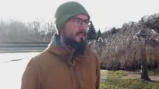 Chronimy płazy w miejskich parkach