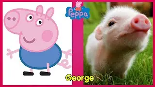 Peppa Pig Characters in Real Life 2022.Funny Peppa Pig.