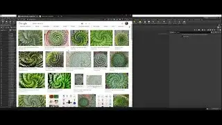 Houdini Procedural Aloe | Golden Ratio With VEX & VOP