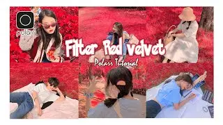 Free Code - Polarr filter code Red velvet | Polarr Tutorial