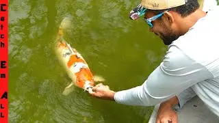 INVASIVE FISH Destroying CITY POND!