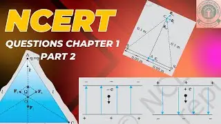 Electric charge and field class 12 Ncert questions Part 2