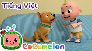 Chú chó săn bé nhỏ | Bài hát dành cho trẻ em | CoComelon Lồng tiếng việt - Karaoke dành cho trẻ em