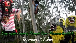 Filem Pendek Topeng Monyet bocil...#123 di Kejar Can-macanan Kadduk sampek Naik ke atas pohon ❗🦧