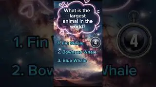 What is the largest animal in the world? #shorts #quiz