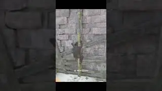 Yuzu Android Sniper Elite 4 Poco F5