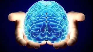 11 Cosas Que Tu Cerebro Ignora