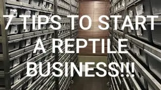 Tips to START your reptile BUSINESS!!