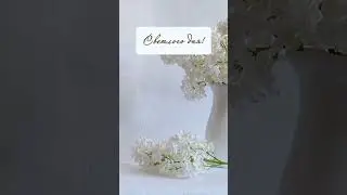 6 июня 2024 г.