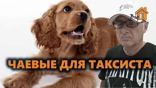 ЧАЕВЫЕ ДЛЯ ТАКСИСТОВ, ЭТО ОЧЕНЬ ТОНКИЙ СЛОЙ МАСЛА НА ХЛЕБ