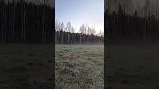 Прекрасное утро) Рассвет))