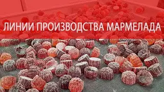Линии производства мармелада
