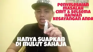 ubat cirit dan selsema arnab