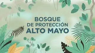 BOSQUE DE PROTECCIÓN ALTOMAYO