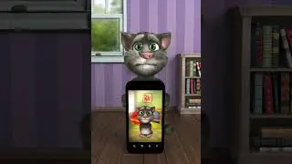 Untitled video