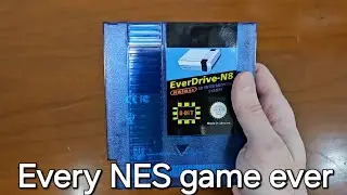 Play EVERY NES game on this!