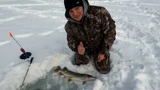 РК "Белая дача" ловим щуку на жерлицы!#зимняяловлярыбы #рыбалка #щука