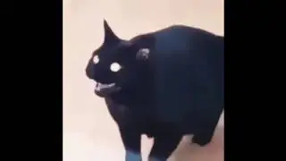 ＥＶＥＲＹＯＮＥ＇Ｓ　ＧＡＮＧＳＴＡ　ＵＮＴＩＬ　ＶＥＲＲＵＣＫＴ　ＣＡＴ　ＳＴＡＲＴＳ　ＳＰＥＡＫＩＮＧ　ＮＵＭＢＥＲＳ