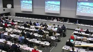 Tahir Mirkishili - OSCE PA Berlin 2018