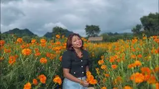 ချစ်သူရဲ့သီချင်း