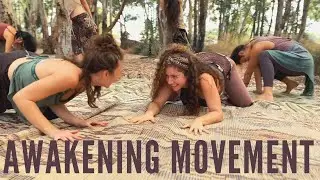 Awakening Movement with Naomi Ring! 🌹 Video by Idit Nissenbaum