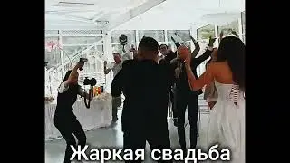 Стоп Кард - НА СВАДЬБЕ #свадьба #shorts #музыка #рекомендации