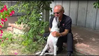 AnimalZone - Bonus Season, Episode 6