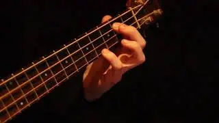 Believer In Dreams - Headwaiter (bass cover)