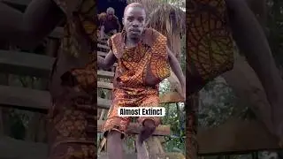 Visiting The Pygmies Of Africa!
