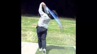 Elizabeth Wang first year progression