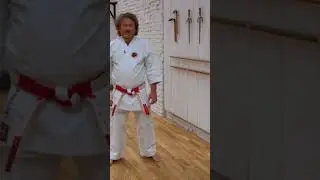 День каратэ на Окинаве. Okinawa karate day