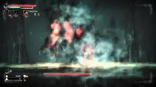 Salt and Sanctuary Witch of the lake very fast and easy