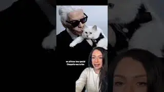 Doja Cat As Karl Lagerfeld’s Cat Choupette At Met Gala! 