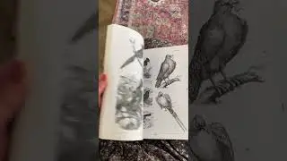 Birds Reference Book, An Image Archive for Artists and Designers
