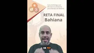 Reta Final Bahiana