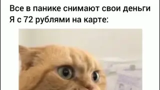 Все в панике, а я на Титанике!!! #смешныекоты #актуально # видеоприколы #кошки #приколысживотными