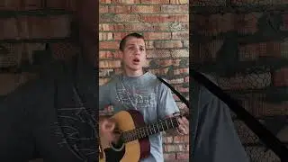 Гречка - Люби меня, люби (cover) #reels #guitar #tiktok #музыка #кавер #shorts #video #viral