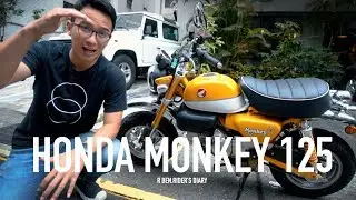 品味小車 HONDA Monkey 125 ，差點簽下去 / 第一人稱