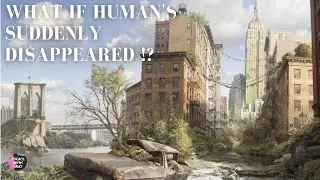 What If ... Human's suddenly Disappeared ?!