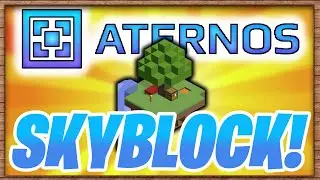 HOW TO MAKE A SKYBLOCK SERVER WITH ATERNOS! (1.16.5)